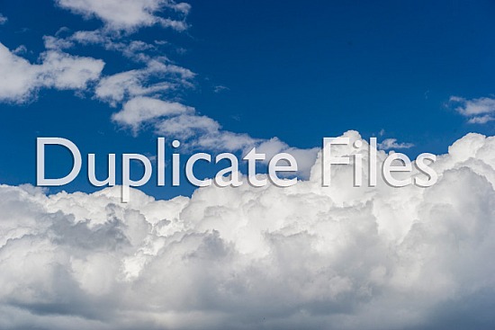 Search & Supply Fees for Re-Supply of  Lost Image Files